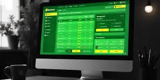 Discover BetWinner Online Bookmaker Your Gateway to Sports Betting