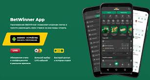 BetWinner Registration A Complete Guide to Getting Started