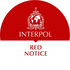 Understanding Interpol Red Notice Removal A Comprehensive Guide 1341805973