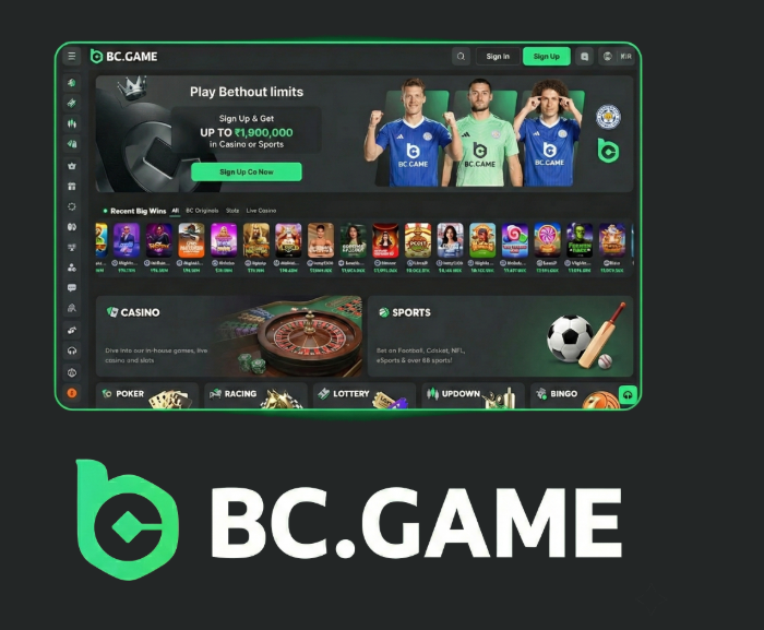 Everything You Need to Know About BCGameBet A New Era in Online Gaming